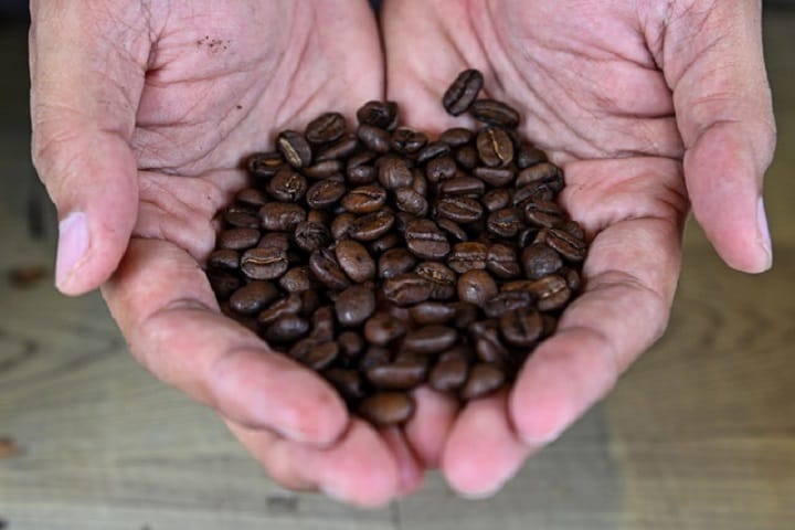 Malaysia tingkat pembangunan industri kopi, import masih tinggi akibat SSR rendah Malaysia tingkat pembangunan industri kopi, import masih tinggi akibat SSR rendah