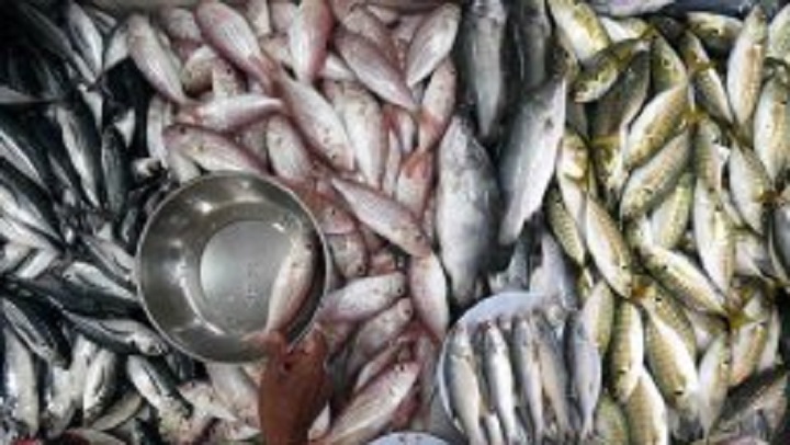 Kerajaan rangka langkah pastikan harga ikan lebih berpatutan di Semenanjung