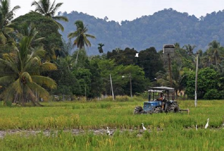 Kerajaan setuju bayar wang pendahuluan RM200 sehektar insentif bajak kepada pesawah Kerajaan setuju bayar wang pendahuluan RM200 sehektar insentif bajak kepada pesawah