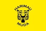 HARIMAU MUDA MARA KE PUSINGAN AKHIR PIALA ASIA B-20 2027